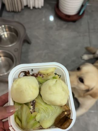 剩饭剩菜当然可以吃~#拉布拉多 #萌宠出道计划 #狗狗