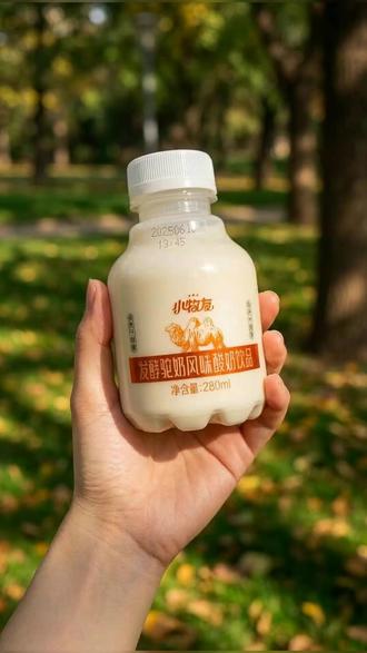 沙漠深处的秘密美味,一口醇香丝滑骆驼酸奶! 喝过这种酸奶吗?口感很独特!今天下午两点有活动哦~#酸奶 #好喝不贵 #骆驼奶 #奶制品 #主理人的权威年货清单