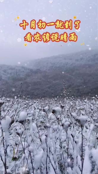 十月初一就到了。看农谚说晴雨#谚语 #民俗文化 #古人的智慧 #三农 @DOU+上热门 @DOU+小助手 @抖音创作者中心