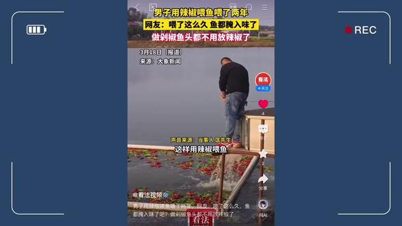 男子用万斤辣椒喂鱼引围观,吃了辣椒鱼肉会变辣吗?鱼为何不怕辣