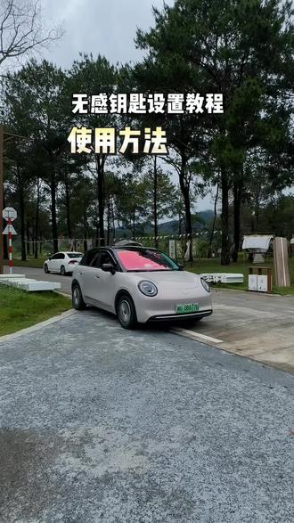五菱缤果pro的无感钥匙进入设置教程和使用方法 #用车知识 #缤果pro #每天一个用车知识 #五菱缤果 #用车技巧 @DOU+小助手