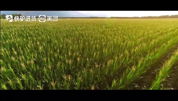 #食堂 #团餐配送 #食材供应链配送
🔥大客户首选|美团快驴
✅服务场景:学校🏫|体制内🏛️|大型工厂🏭|工地食堂🍱|团餐公司🥗|连锁店供应🏪
✅一对一专属顾问,全程无忧对接
✅开票便捷、一键申请📄
✅时效快稳准,售后24小时在线💡
✅全品类集采统配,降本增效💰
📞广东省服务热线:17623406780
💬微信同号
🤵刘|美团快驴广州市区域负责人