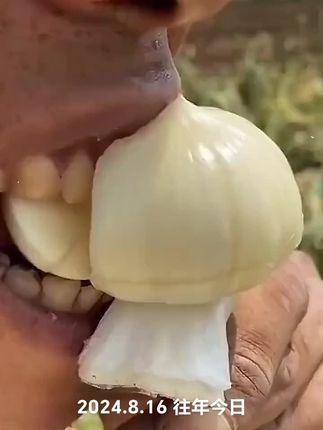 #独头蒜 #独头蒜种子 #独头蒜嘎嘣脆 #独头蒜生吃 #三农