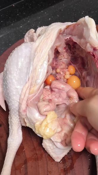 我摆摊的鸡都是去了杂物去了毛,都弄非常干净的,包括鸡脖子和头那些毛,我都用个夹子夹得很干净,里面包蛋肠和蛋花都是可以吃的。