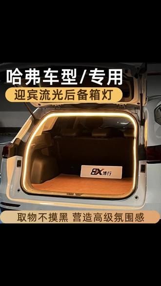 哈弗H6大狗枭龙神兽赤兔H5F7后备箱灯氛围灯尾箱照明灯改装饰配件 #哈弗 #哈弗大狗 #哈弗h6 #哈弗神兽 #后备箱氛围灯