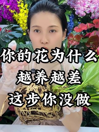 你的花为什么越养越差#花卉绿植 #养花小知识