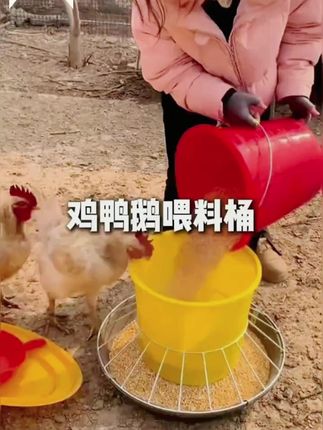 喂家禽鸡鸭鹅喂料桶自动采食器重力下料家禽饲料槽喂鸡神器散养#喂料桶 #采食器 #鸡鸭鹅喂料桶 #饲料槽 #喂鸡神器
