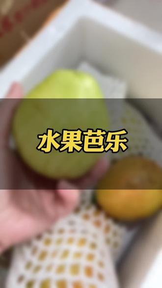 红心白心我都爱#芭乐#水果爱好者 #种草#好物合集