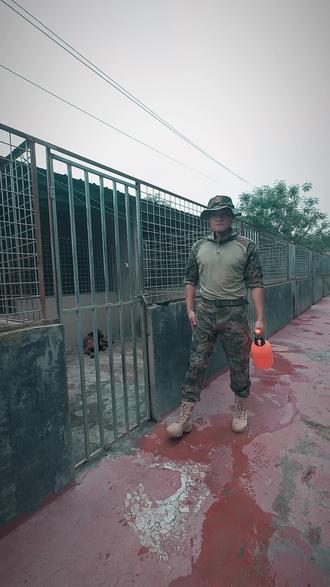 高标准,严要求#警犬 #怀化 #工作犬