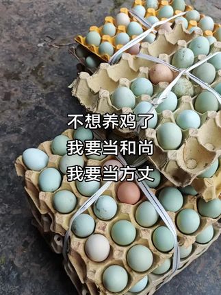 和尚都可以开奔驰宝马,可以三妻四妾,普通人就只能当牛马吗?#我的乡村生活 #土鸡蛋 #少林寺方丈释永信