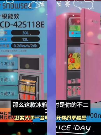 香雪海冰箱 冰箱双开门 冰箱小型家用 小冰箱推荐租房1-2人用
