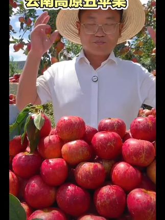 云南高原丑苹果,脆甜多汁#苹果#丑苹果#云南苹果#农产品