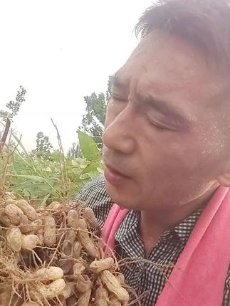另一亩地花生又丰收了,还要唱聊斋😂#随时随地标记一下