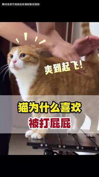 抖音精选|看完心情都变好了 #抖音精选#抖音细糠版#宠物#萌宠Qy3-xwy-无-lyl-竖-13550