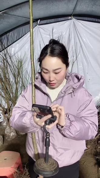 庭院里的甜蜜惊喜,黄金桃树苗让你四季有果!