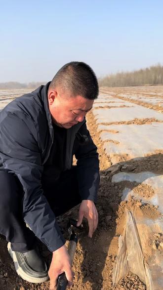 40亩地育苗实操,细节决定成败#育苗基地 #农业种植#中药材种植基地 #中药材种植技术一条龙服务