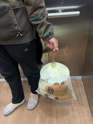 姐妹们,这个垃圾袋子很结实,免撕拉,带香味,不脏手。值得推荐