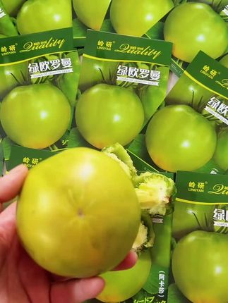 这种西红柿您吃过吗