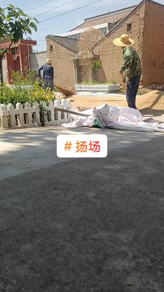 农村生活#扬场#传统手艺 #三农