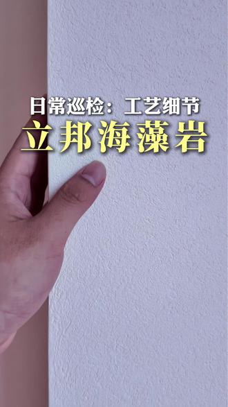 艺术漆拒绝偷工减料 施工一遍都不能少#艺术漆 #立邦 #立邦魔术漆 #海藻岩 #雅晶石
