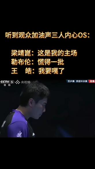 梁靖崑先输两局后又追回来两局, 此时第五局已经10比2领先。 看王皓的表情快哭了。 #梁靖崑 #伦敦世乒赛 #梁靖崑逆转取胜