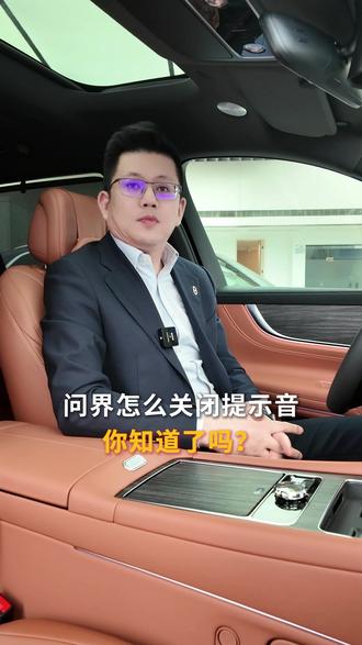 问界总经理讲车 鸿蒙智行问界 后排安全带提示音怎么关闭?10秒钟教会你#鸿蒙智行 #问界 #问界M9 #问界M8 #问界M7