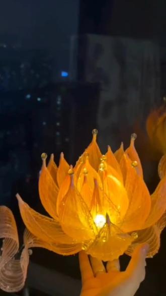 西施? 太绝了!教程来了!#年轻人的手工活 #cos灯笼 #新年灯笼 #悬浮灯笼 #好物推荐🔥