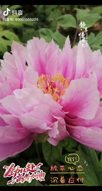 #高考倒计时 ,全力以赴,高考加油