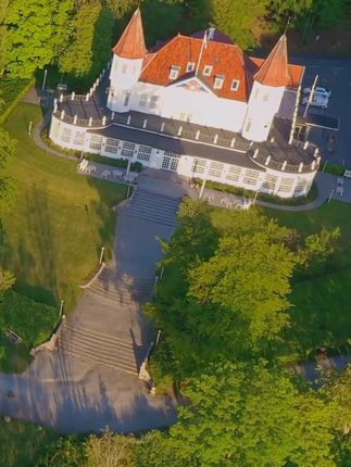 #1961年的牛 #1973年的牛 #1985年的牛