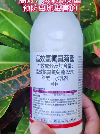 高效氯氰氟菊酯 地上地下害虫专杀 菜青虫蚜虫红蜘蛛卷叶虫有效防治#杀虫剂 #果树管理 #病虫害防治 #种植 #种植小技巧