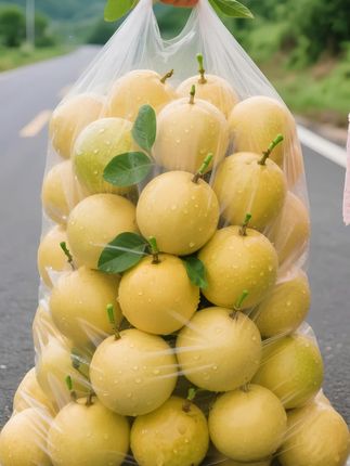 一口“钦蜜9号”,解锁百种果香, 直接颠覆我对百香果的认知! 咬上一口,“噗呲噗呲”的爆汁, 不用加蜂蜜,直接吃就像在喝 百香果蜜,9分甜1分酸,不爱 吃酸的集美们也能毫无负担地炫,一个接一个好吃停不下来,连炫了8-9个才过瘾! 百香果饮品特调:清爽解腻的夏日必备品! 百香果气泡水制作步骤:先挖2-3勺果肉放入杯中,加适量冰块和气泡水,再放一片柠檬或薄荷叶,摇匀即饮,清爽又解腻,一口就爱上了。 百香果蜂蜜水:果肉+温水+1-2勺蜂蜜搅匀,好喝又营养,晨起或睡前喝都很合适,家里的大人以及小孩都很爱喝,每天来一杯元气满满的! #钦蜜9号百香果  * #黄金百香果  * #新鲜应季水果 #口感特别好  * #超便宜超划算  @抖音小助手 @DOU+上热门