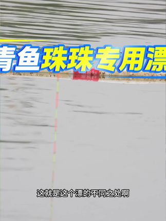 钓青鱼最怕过底,应该如何应对#钓鱼技巧 #钓鱼 #渔具 #钓鱼人 #户外钓鱼