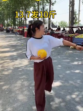 沙漠黄河蜜瓜大丰收了便宜发一箱13.7到手10斤#沙漠蜜瓜#黄河蜜瓜#民勤蜜瓜#甘肃蜜瓜