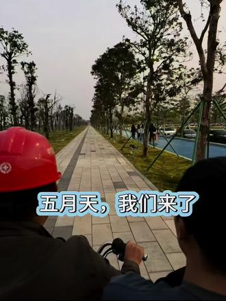 活着其实很好,再吃一颗苹果🍏
十二月是苹果的力量
苹果是小小的爱和宇宙
树是花的样子
雪有雾的味道
我们接住彼此的跌落
成为苹果
成为诗
-
苹果跌落是爱的声响
是烟花和晴朗
十二月成为苹果
祝我们健康
-
咬一口苹果
脆脆的是十二月空气
果肉像静夜的雪
-
十二月,以苹果
祝我们健康
#五月天 #五月天广州 #五月天广州演唱会 #五月天生日场