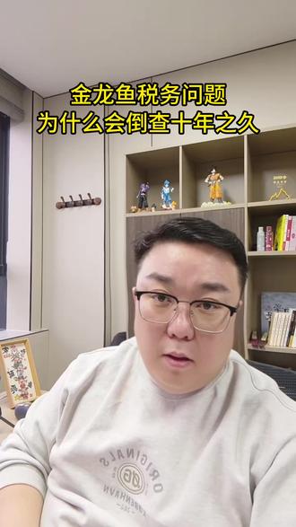 税务问题为什么会倒查十年#税务#财税 #发票 #金龙鱼 #财税知识