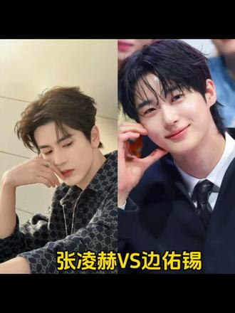 两种风格,两种顶级帅度,怎么选还用说吗?!当然是我张凌赫最帅!!!#我的偶像 #张凌赫