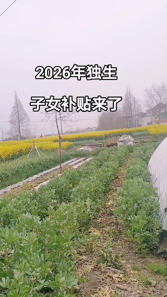 #20260独生子女,补贴有规来了
