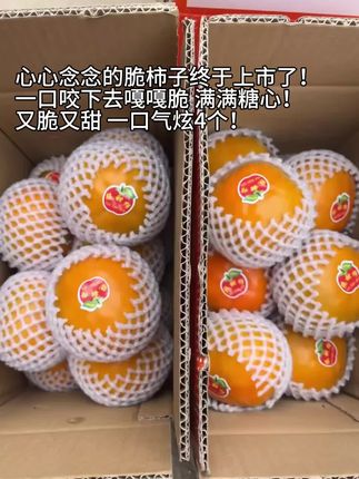 终于等到脆柿子上市了,又脆又甜满满的糖心,又大又脆又甜又多汁!每一口都是嘎嘣脆,真的太爱了!#脆柿子 #柿子 #巧克力柿子 #现摘现发新鲜到家 #快来一起尝个鲜