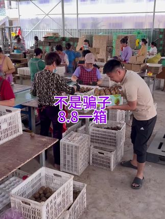 #徐香猕猴桃