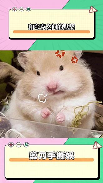 和夸克之间的默契 #夸克涨知识 #夸克深度搜索 #夸克小说