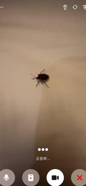 人类和AI未来必有一战#豆包 #人工智障