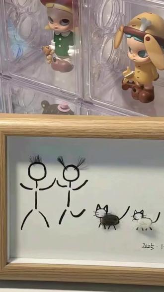 情侣猫猫狗狗毛发相框DIY手工摆件宠物纪念汽车摆件饰品