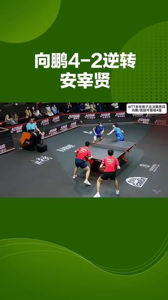 向鹏4一2逆转安宰贤#上热搜 #热点 #国乒 #热门 #上热门🔥
