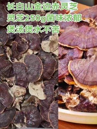 长白山金边赤灵芝 灵芝250g菌味浓郁煲汤煲水不苦