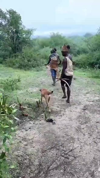 非洲户外狩猎第一季(四) #非洲纪录片 #非洲生活 #户外 #狩猎 #哈扎比部落