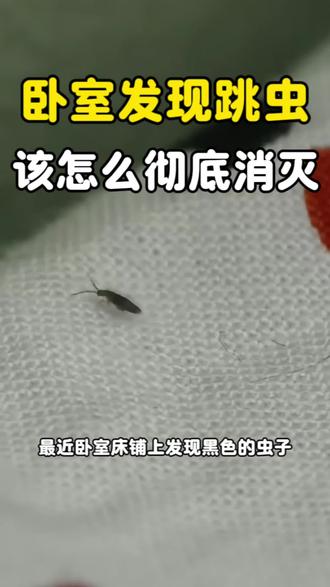 跳虫是什么原因引起的 最近卧室床铺上发现黑色的虫子,这个就是跳虫,体长约1-2毫米,比蚂蚁还要小一点,身体颜色多灰黑色,善于弹跳,家里常出现在卫生间,卧室地板缝隙、墙角、床铺,踢脚线部等,繁殖能力强,它的繁殖速度很快,卧室发现跳虫主要是因为潮湿引发,会从地板爬上床铺觅食,跳虫身上可能携带大量细菌和病毒,在它们活动时,可能会将这些病菌传播给人类,引起皮肤红肿、疼痛等症状,幼儿、老人接触后症状可能更严重,家里发现就要及时处理消灭了,首先处理环境卫生清洁发霉积水的地方,除湿保持环境干燥,在使用专用的杀虫剂,喷洒在跳虫出没的地方,消灭虫子与虫卵,这个是无色无味的,孕婴宠家庭都可以使用。#跳虫#烟灰虫 #黑色小虫 #跳虫消杀 #跳虫杀虫剂