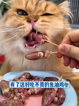 都知道吃鸡心对毛孩子身体好,这个经过高温蒸煮过的鸡心里面还特别添加了鱼油,对猫咪的心脏和眼睛都非常有好处,而且鸡心中富含多种维生素,可以补充猫咪所需的营养,趁现在活动划算赶紧囤#科学养宠攻略 #蒸煮鱼油鸡心 #猫咪零食 #狗狗零食推荐 #萌宠出道计划