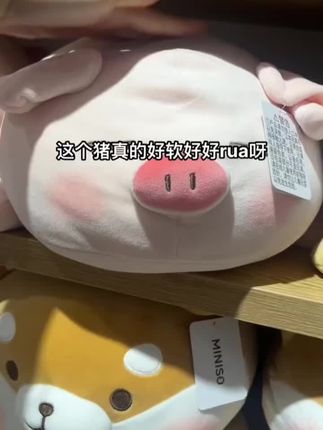 好喜欢我的猪猪抱枕啊!又舒服又可爱!#抱枕 #也太可爱了吧 #玩偶#毛绒玩具 #抱枕