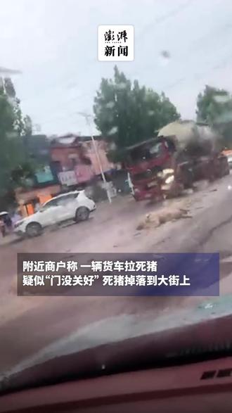 【河南周口太康县道路上出现大量死猪,县农业农村局:涉事司机被警方控制】7月10日,河南。太康县逊母口镇道路上出现大量死猪。县农业农村局回应称,涉事司机已被警方控制。县网信办回应称,此事已处理。