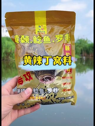 邓老师钓黄辣丁的方法,效果居然这么好#钓黄辣丁技巧 #钓昂刺鱼技巧 #黄辣丁窝料 #昂刺鱼窝料